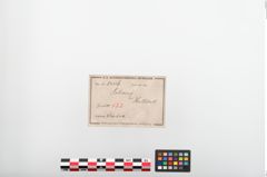 Etiketten zu Bronzebrillenfibel (NHMW-PRAE-024116)